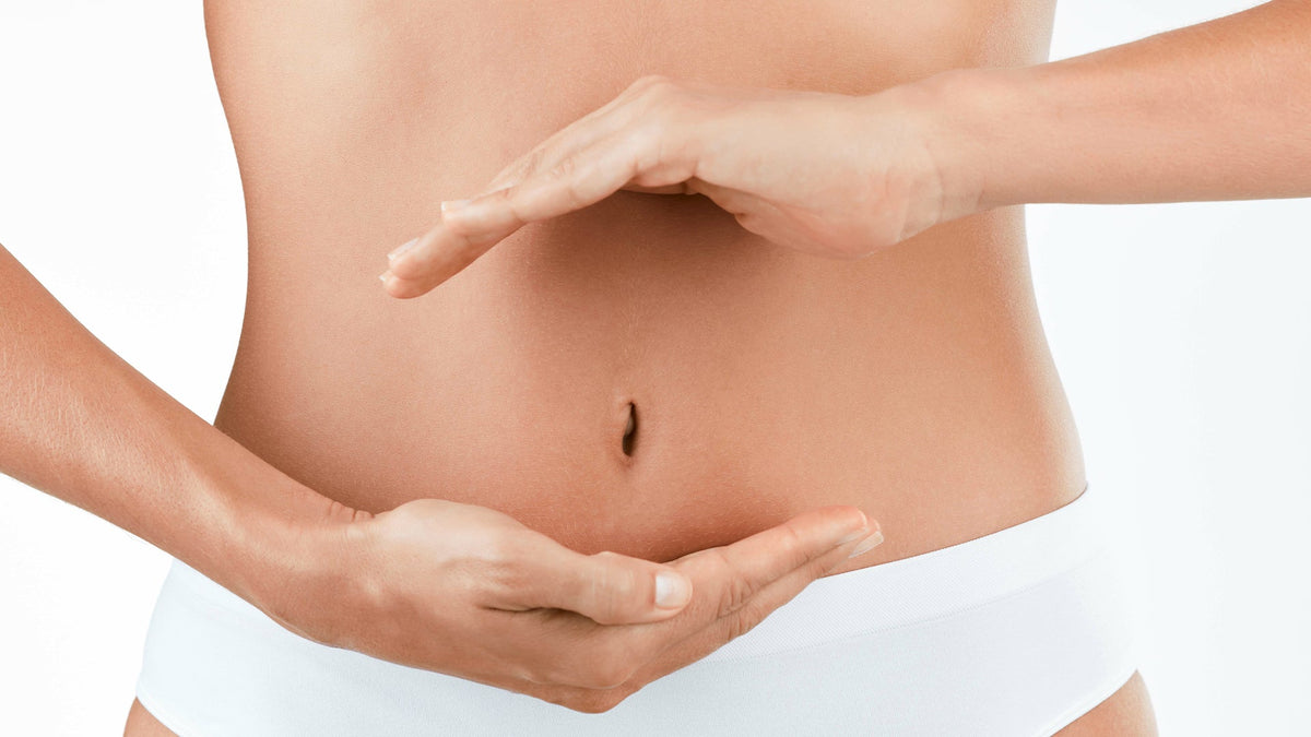 How Do Probiotics Support Gut Health and the Immune System?