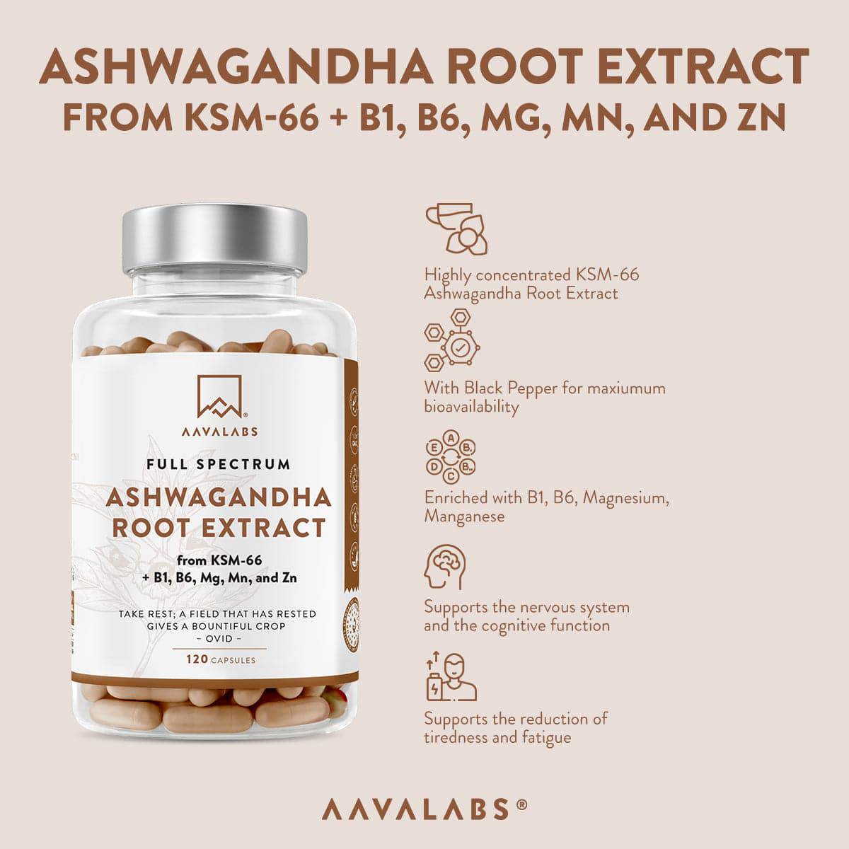 The back view of the Ashwagandha capsules bottle displaying the supplement facts and ingredients label in detail - Aavalabs