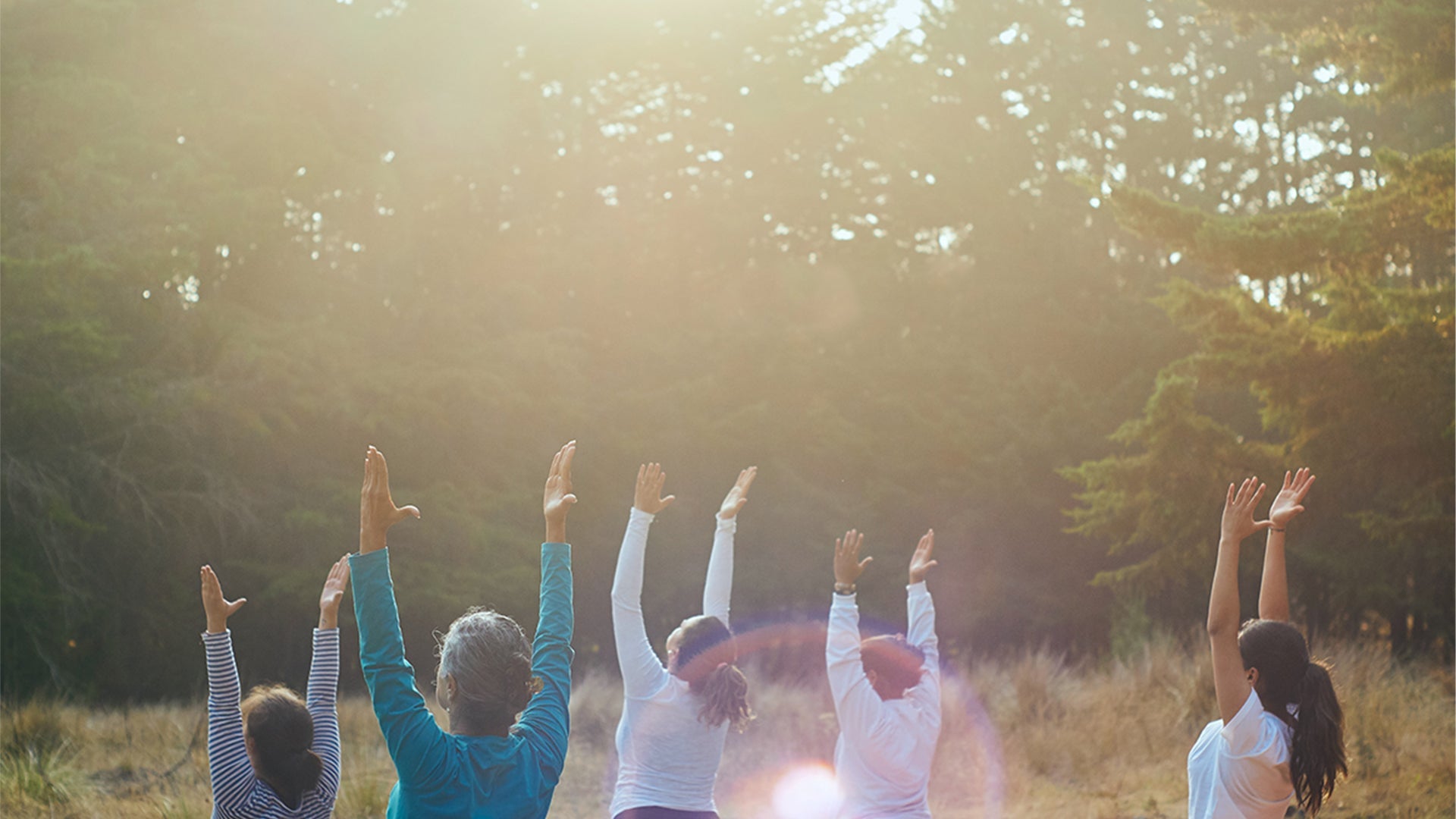 What Are the Most Powerful Benefits of Ashwagandha?