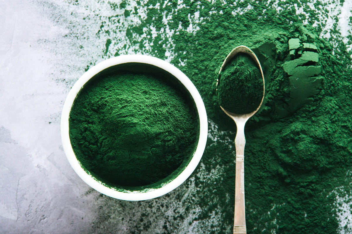Spirulina vs chlorella: What’s the difference and can you take them together?