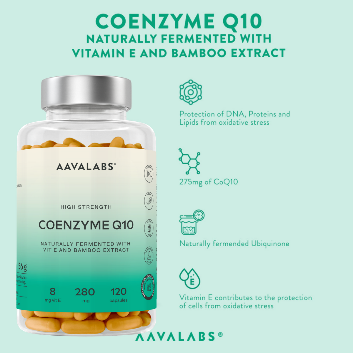 COENZYME Q10
