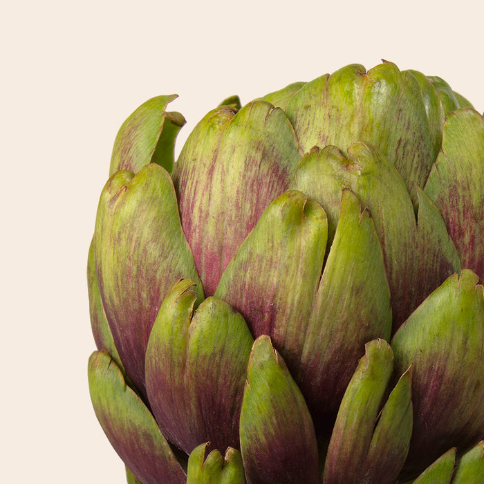 Artichoke leaf