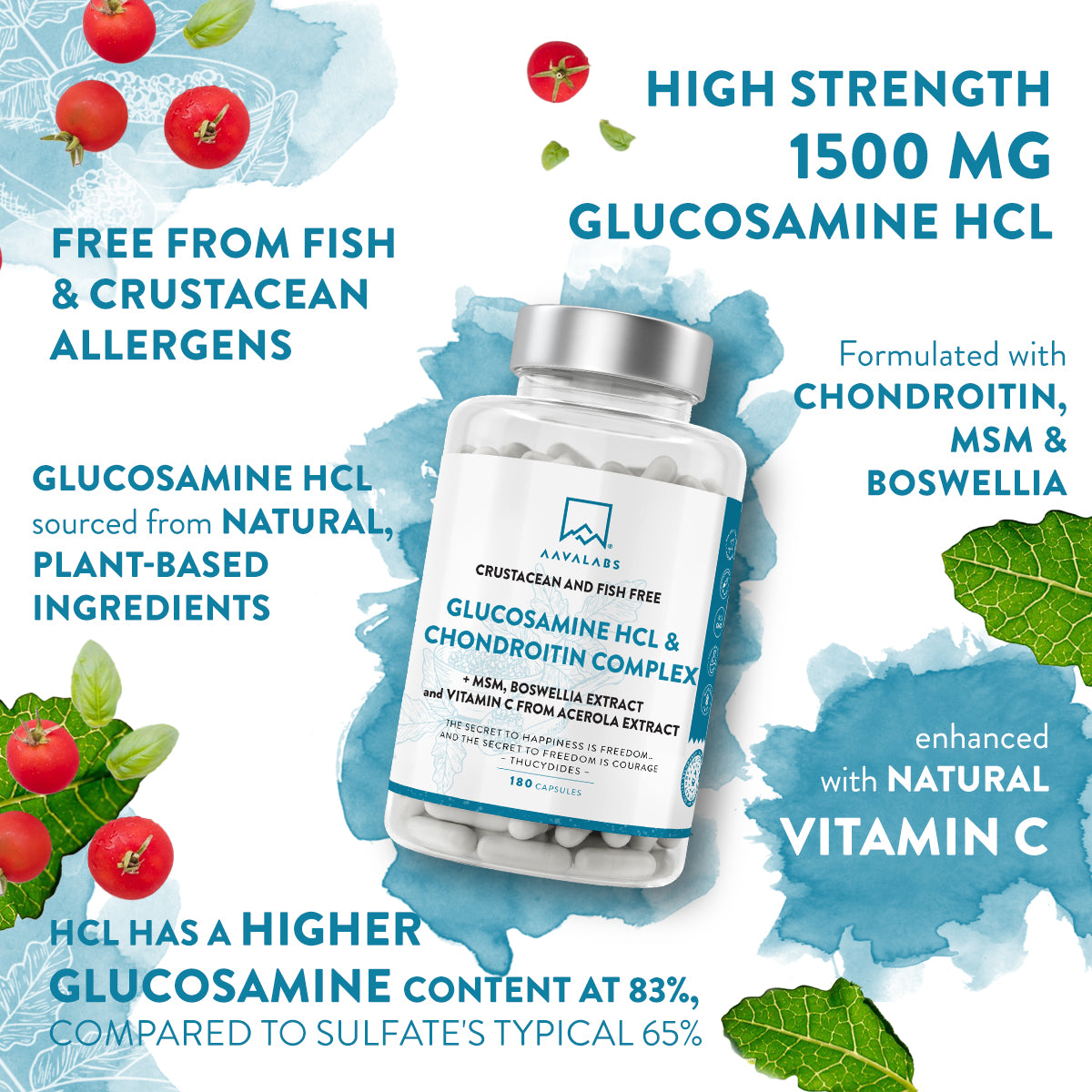 GLUCOSAMINE HCL & CHONDROITIN COMPLEX