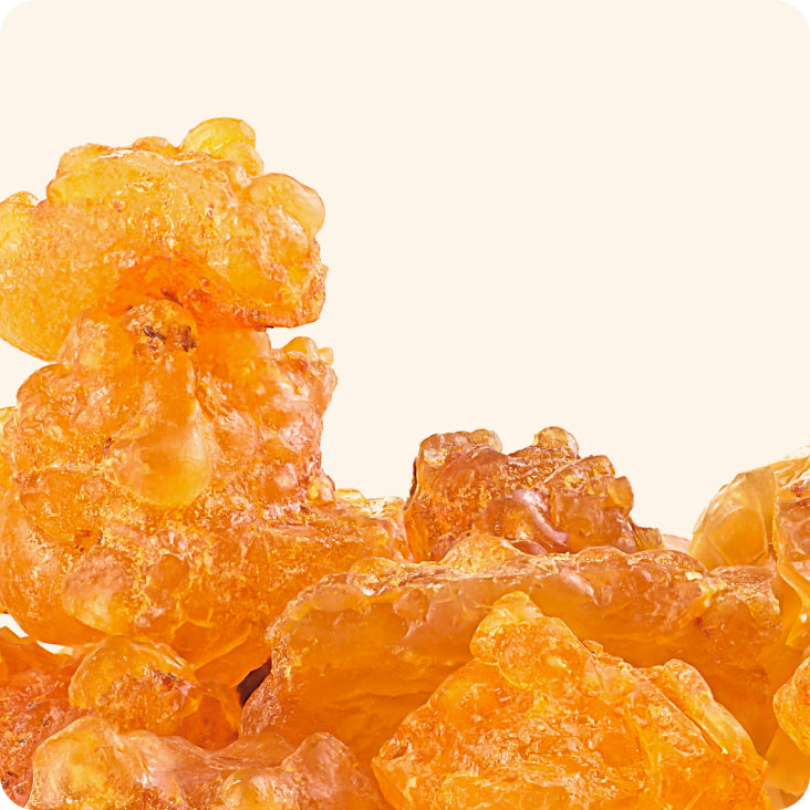 Boswellia serrata resin