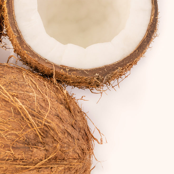 Coconut (MCT)
