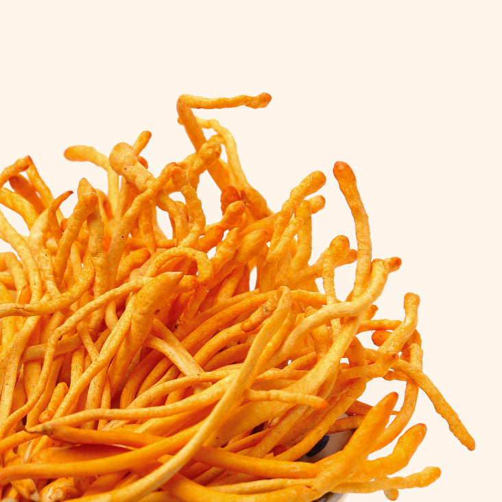 Cordyceps mycelium