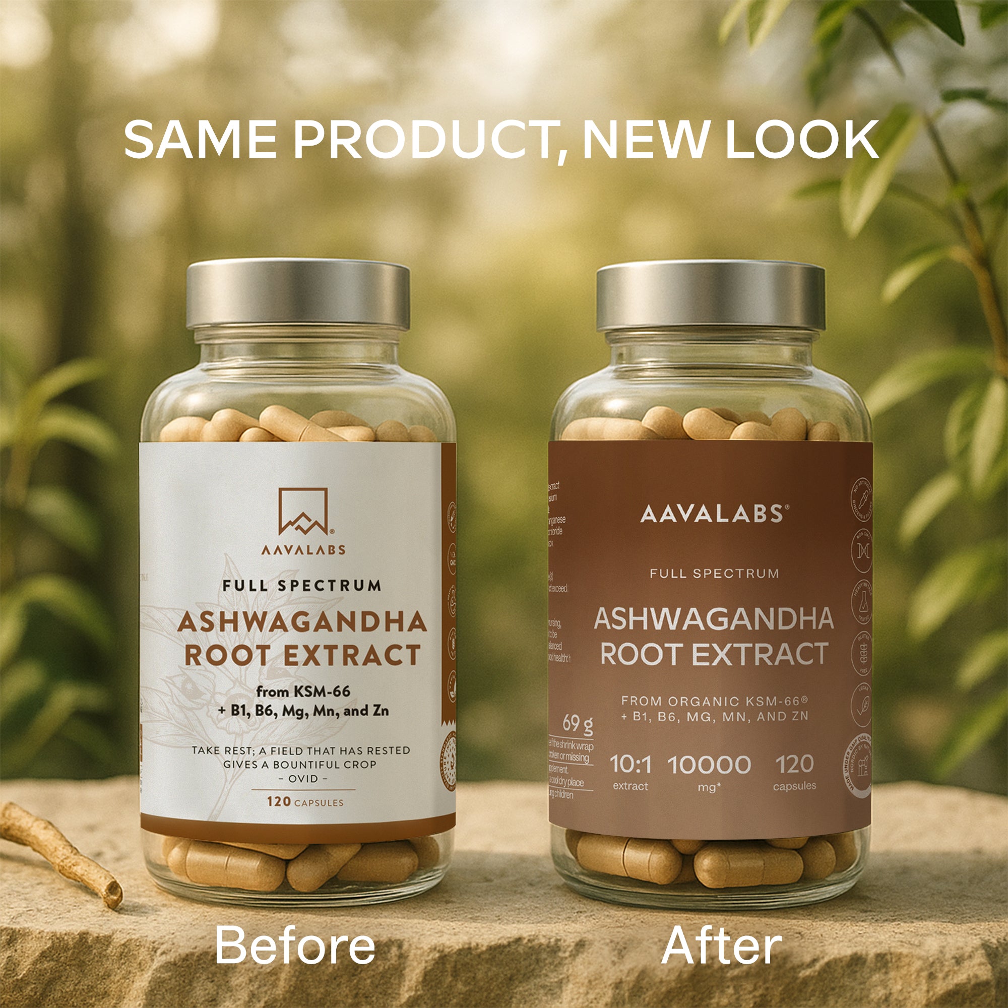 ASHWAGANDHA