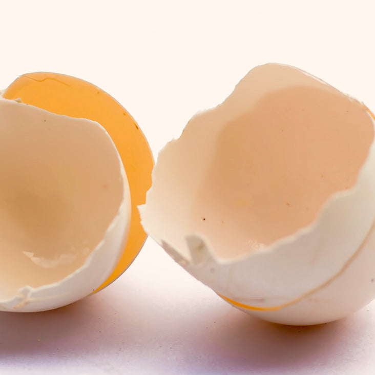 Egg shell membrane