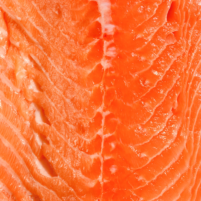 Fish oil rich in DHA & EPA