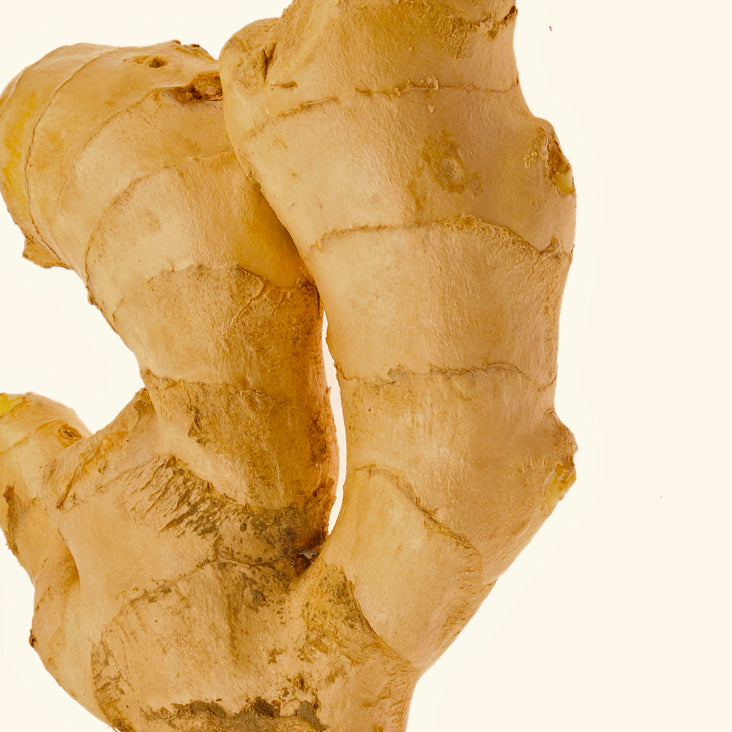 Ginger extract