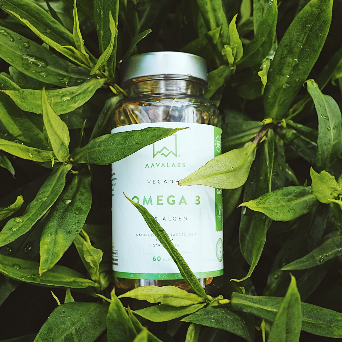 VEGAN OMEGA 3 FROM ALGAE