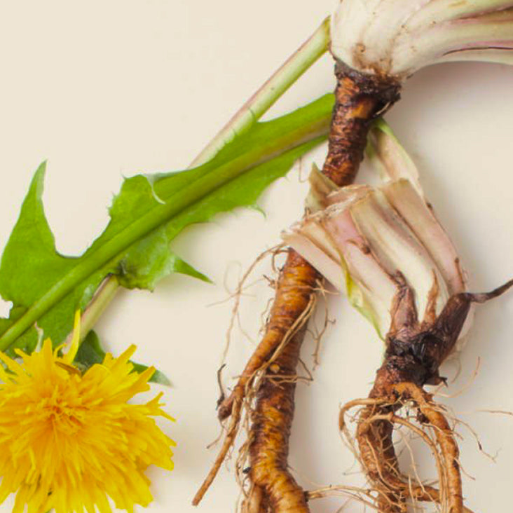 Inulin fibre (Chicory root)