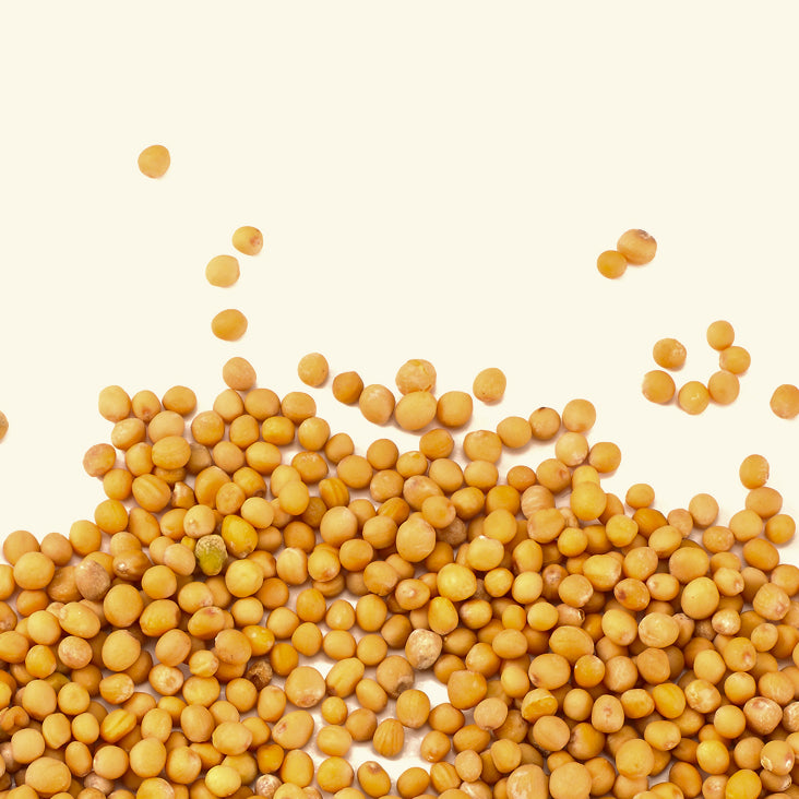 Millet seed extract