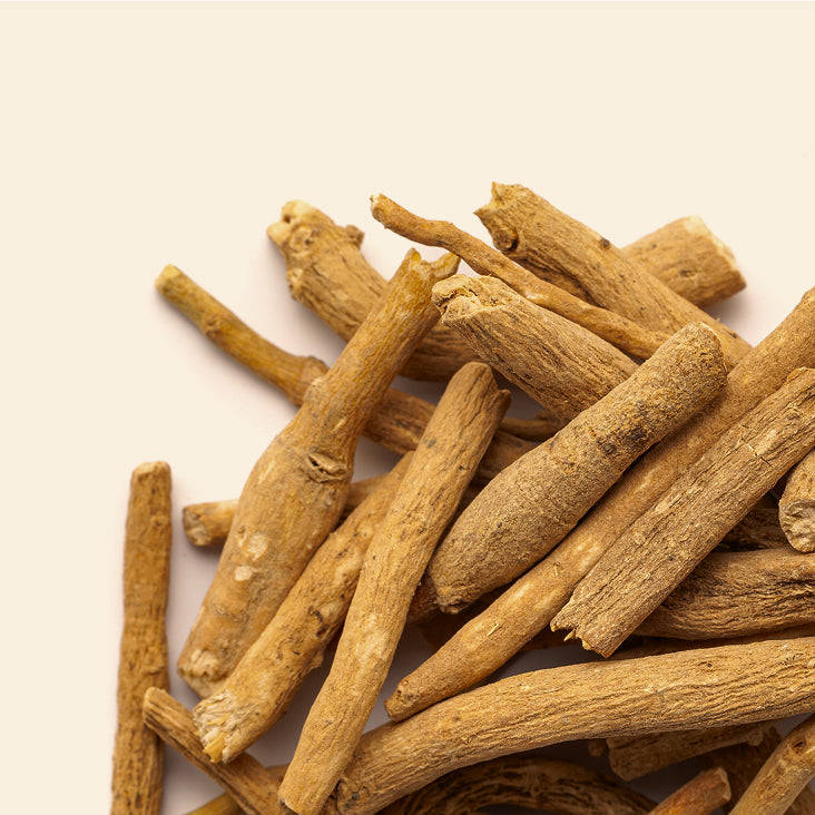 Organic KSM-66® Ashwagandha