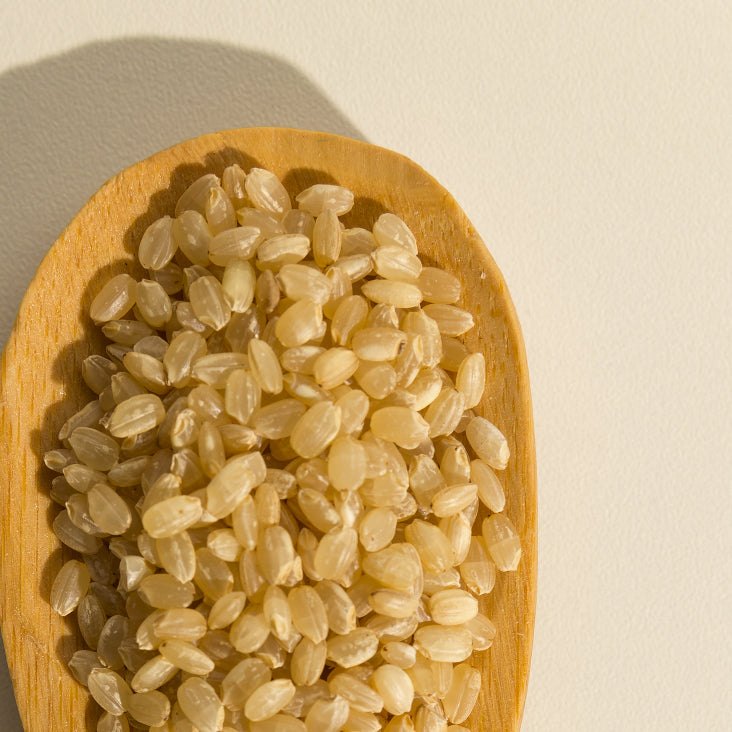 Organic rice protein