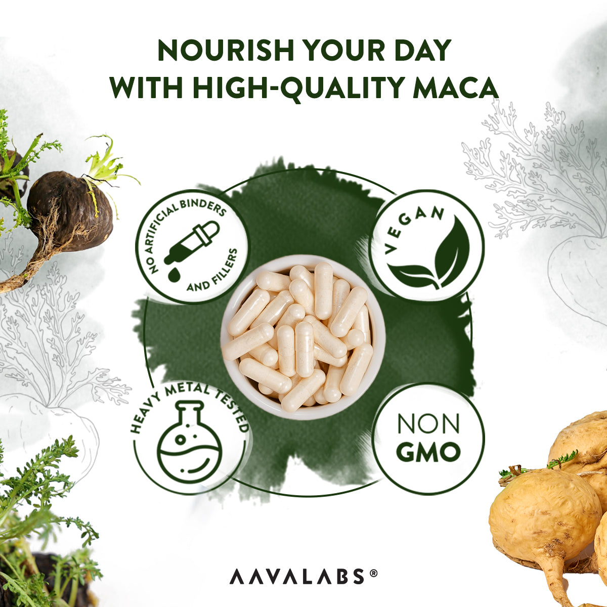 MACA ROOT COMPLEX