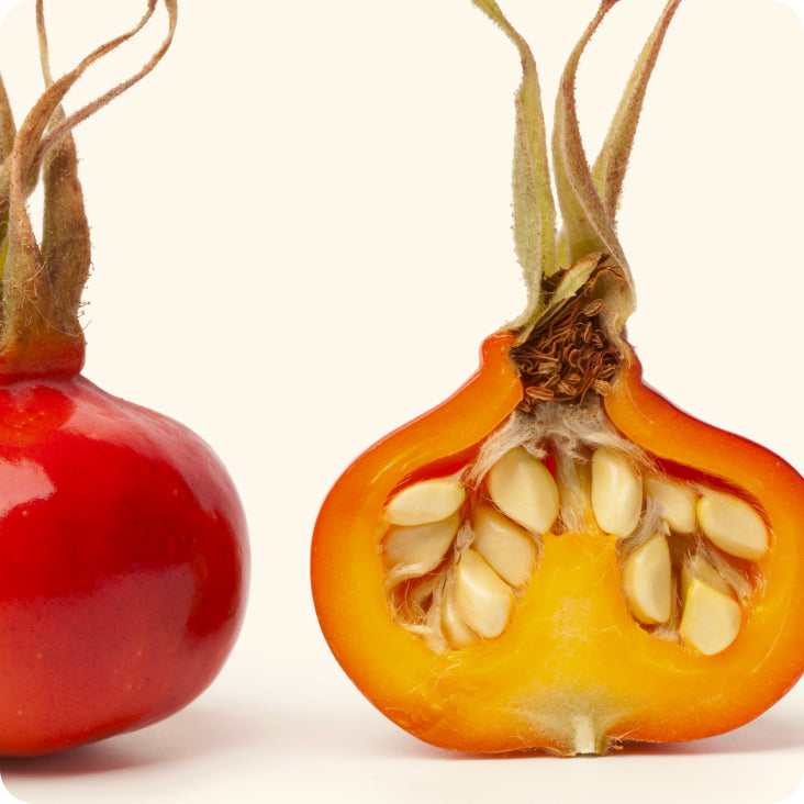 Rose hip (vitamin C)