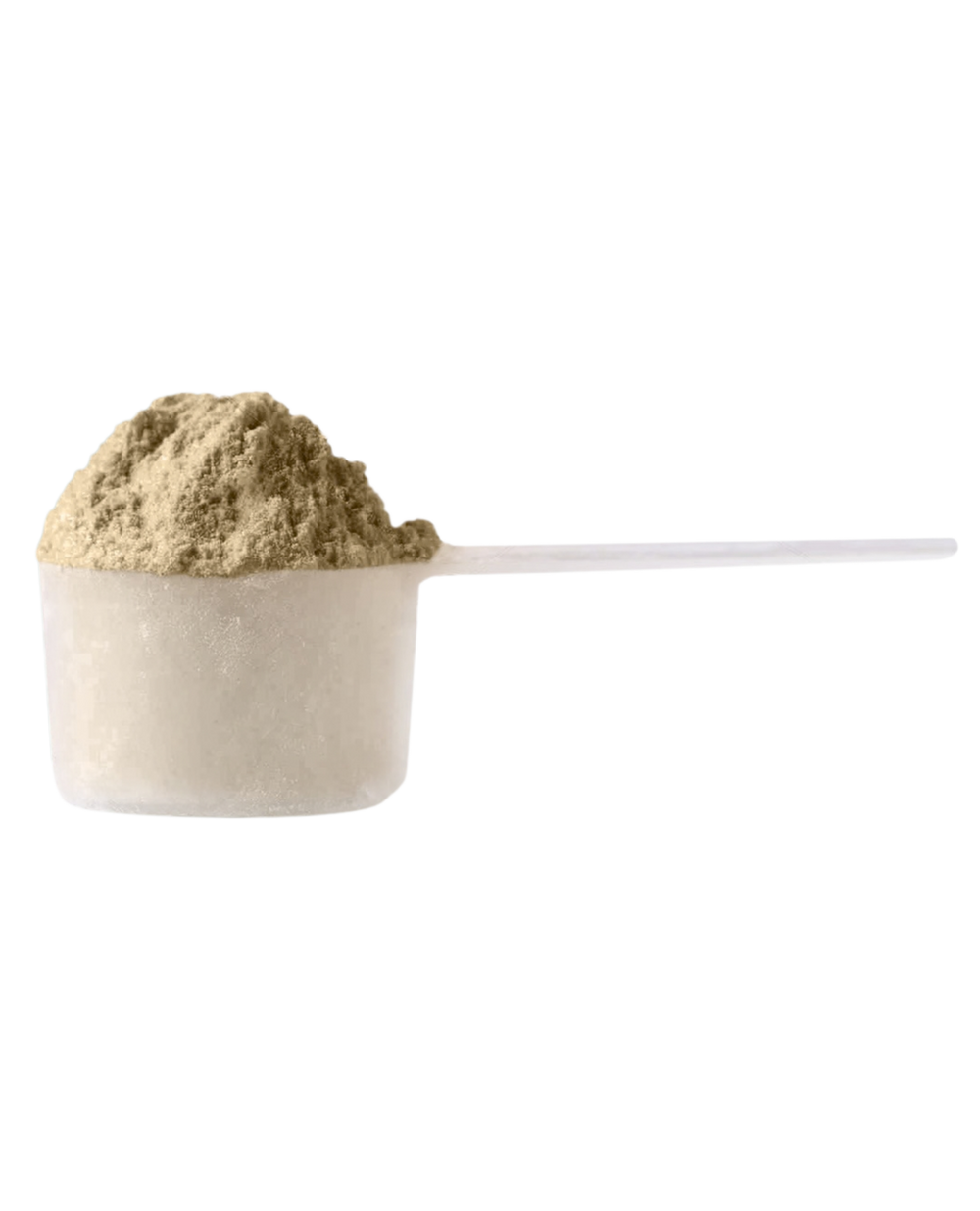 Scoop filled with Aavalabs Vegan Protein Powder