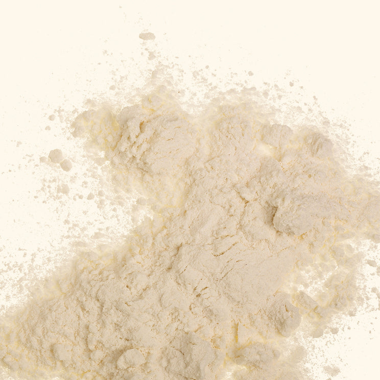Vitamin B Complex