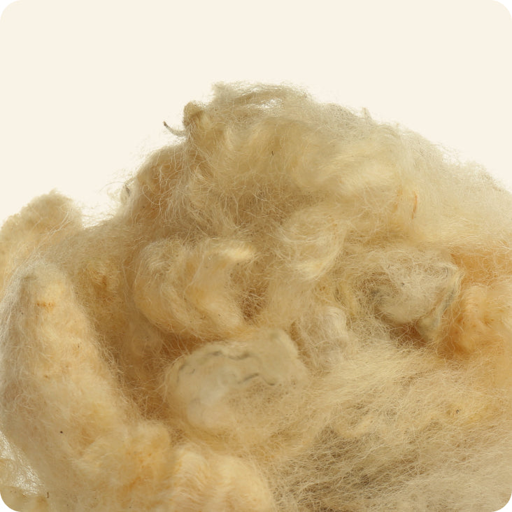 Wool lanolin (natural D3)
