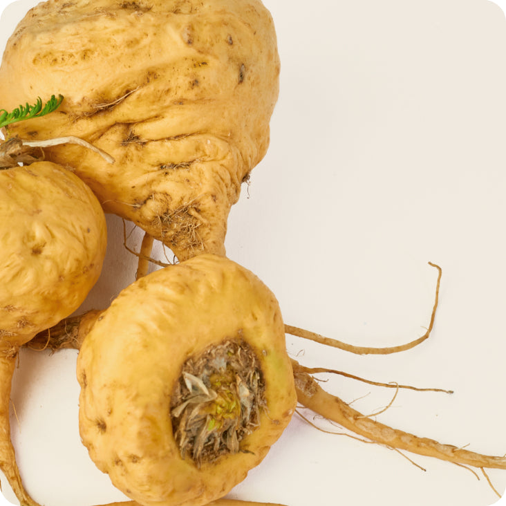 Yellow Maca Root