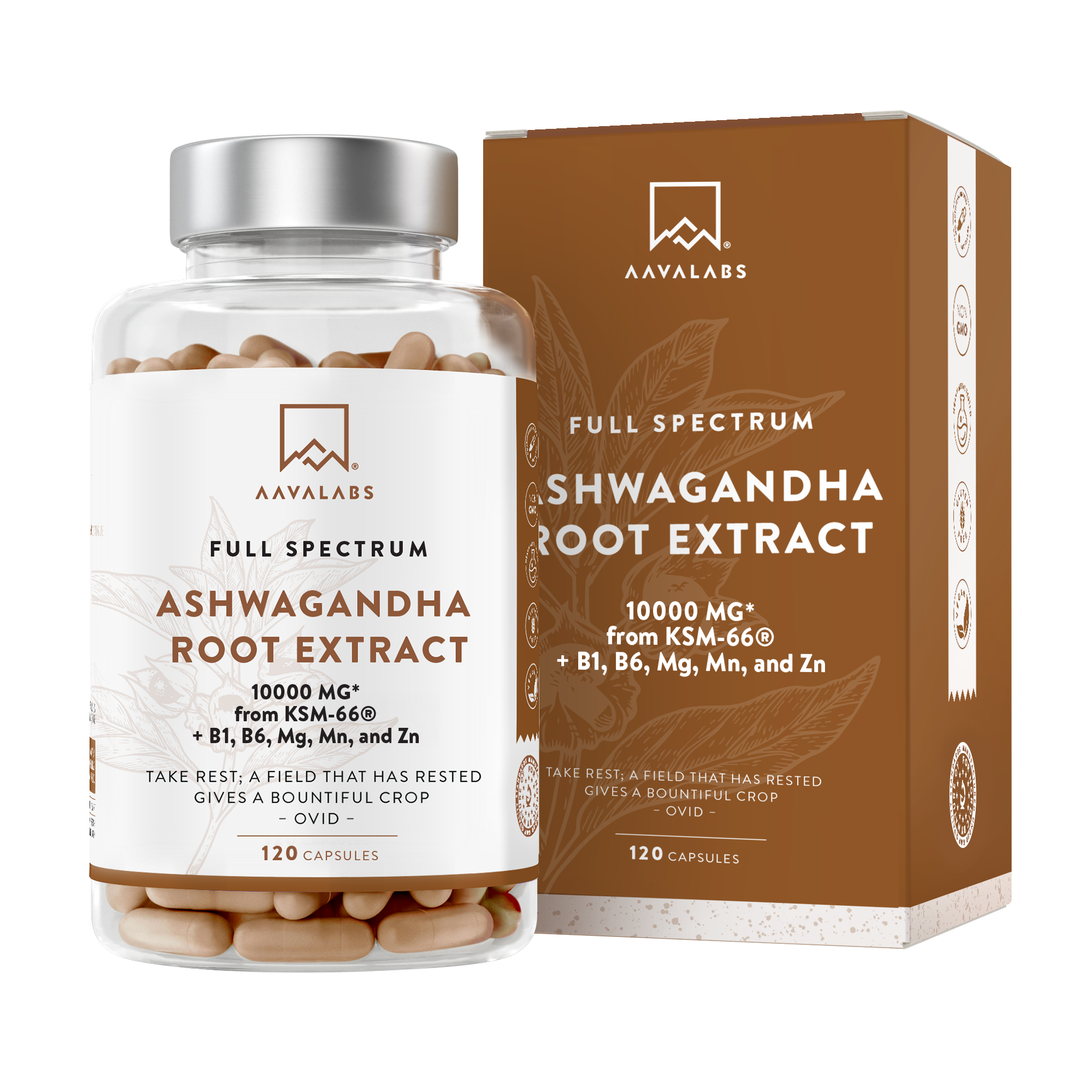 Bottle of Ashwagandha Supplements - AAVALABS
