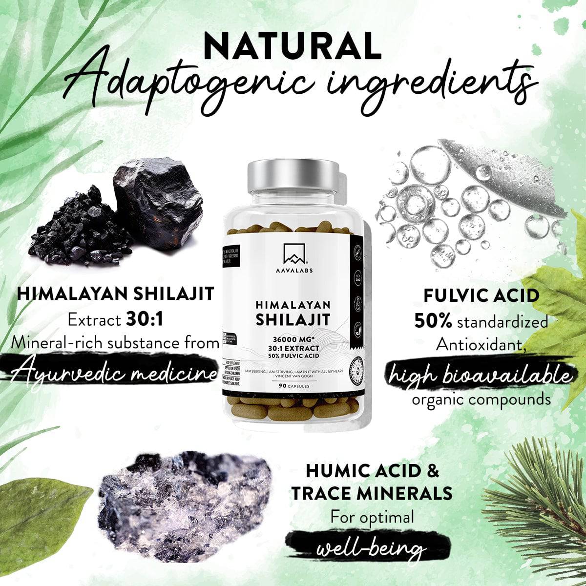 Shilajit, fulvic acid, and trace minerals, adaptogenic ingredients for optimal well-being