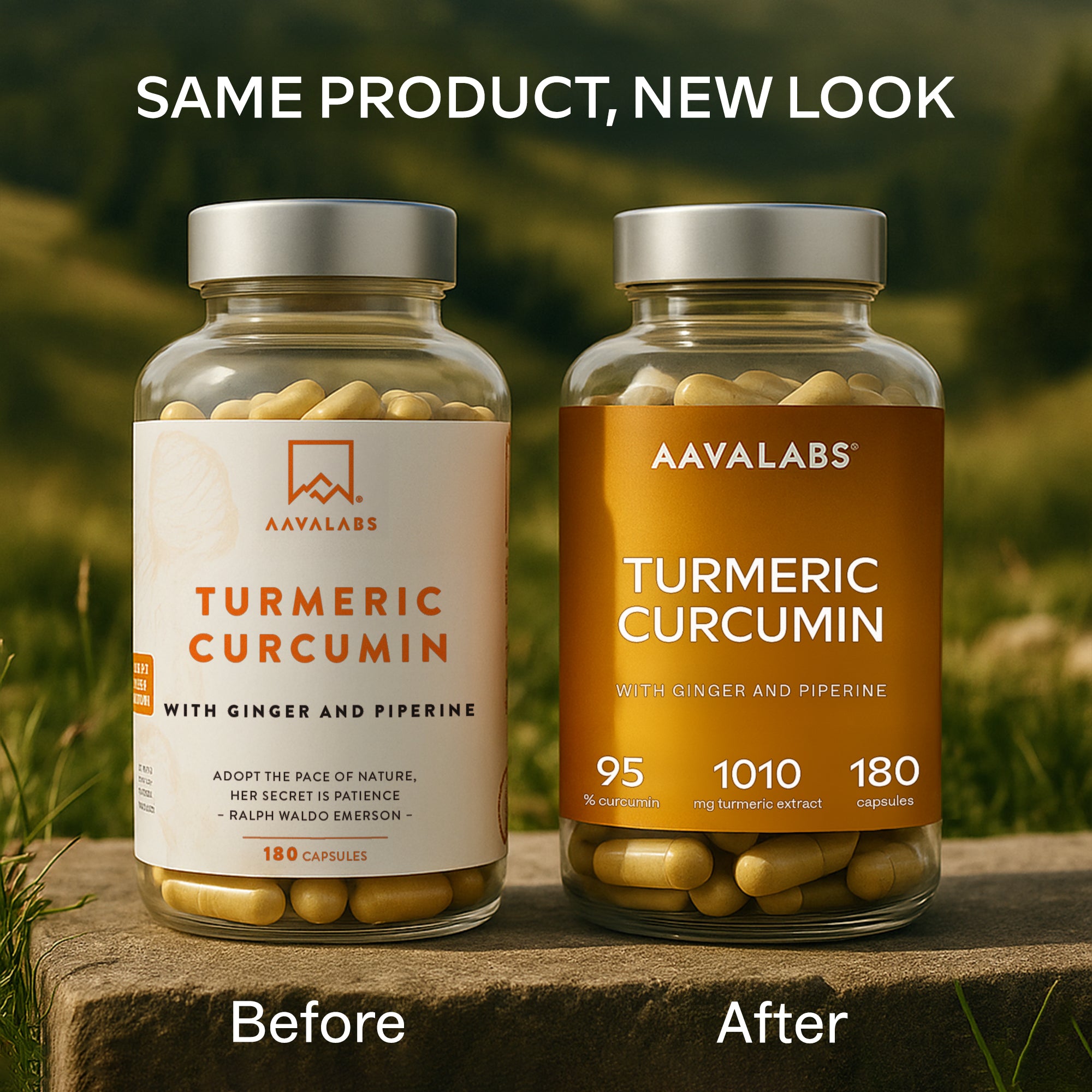 Close-up of back label listing turmeric extract, ginger extract, bamboo sprout extract and black pepper fruit extract in vegan capsule – Turmeric Curcumin Complex Aavalabs